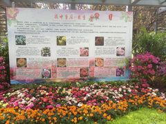 -大望京公园