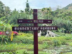 -呀诺达热带雨林