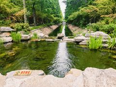 -东平国家森林公园