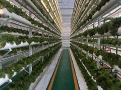 -兰陵国家农业公园