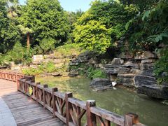 -凤岭儿童公园