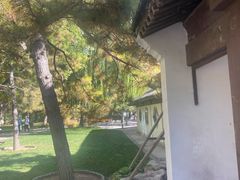 -团结湖公园