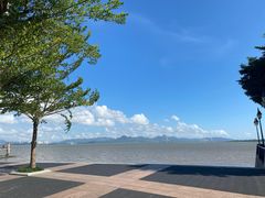 -深圳湾公园(南山区)