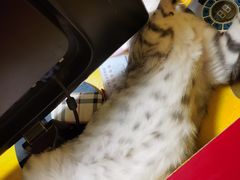 -H立方实景剧情密室(天河旗舰店)
