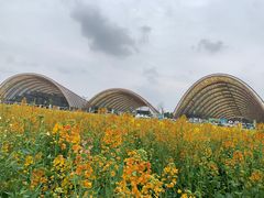 -中国天府农业博览园