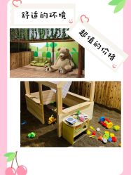 -绿野星空儿童乐园