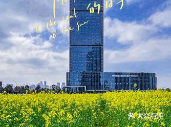 城与野｜杭州超小众的油菜花田