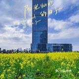 城与野｜杭州超小众的油菜花田