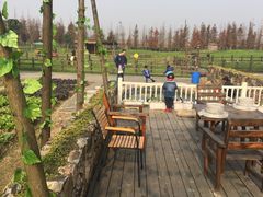 -田园东方蜜桃村的田野营地