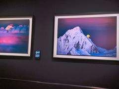 -罗红摄影艺术馆