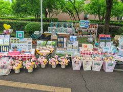 -上海市实验学校