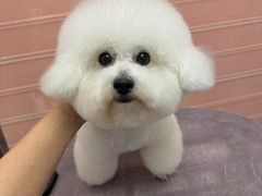 -FAELING PETS美天灵宠物(合生汇店)