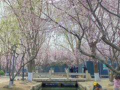 -春风习习