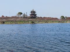 -上海海湾国家森林公园