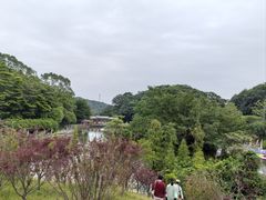 -广州市帽峰山景区