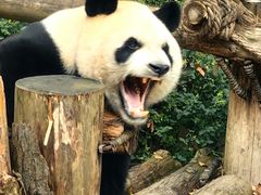 -黔灵山公园