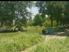 -汉长安城未央宫国家考古遗址公园