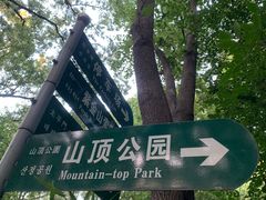 -紫金山山顶公园