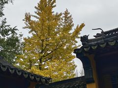 -西园戒幢律寺