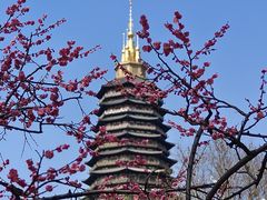 -红梅公园