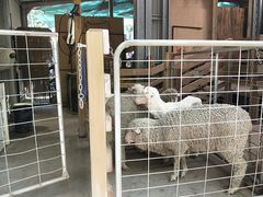 景点-可伦宾野生动物保护区