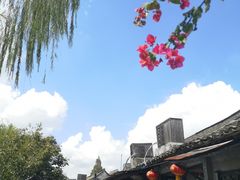 -老品芳