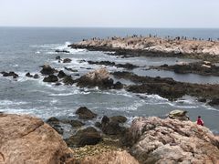-养马岛旅游度假区