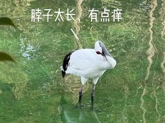 -杭州野生动物世界