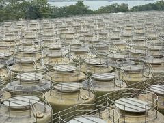 -厨邦酱油文化博览馆