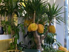 -猫王榴莲世家(三里屯SOHO商场店)
