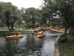 -晓港公园