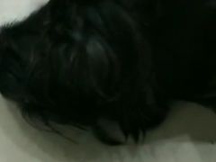 -瑞鹏宠物医院·内科·中兽医·骨科(苗圃店)