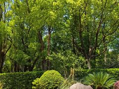 -上海交通大学(闵行校区)