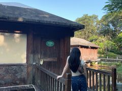 -罗浮山嘉宝田森林温泉度假酒店