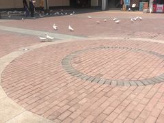 -王府井奥莱临潼小镇(临潼店)