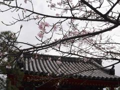 -有栖山 清光院 清水寺
