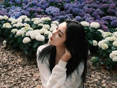 -上海鲜花港
