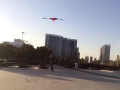 -天鹅湖体育公园