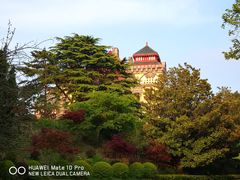 -青岛德国总督楼旧址博物馆