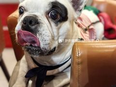 -新一番回转寿司(泊富ICITY店)