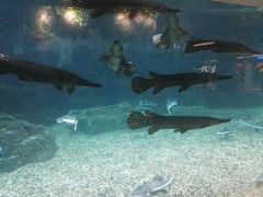 -绍兴梦享海洋公园