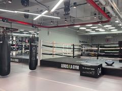 -花环泰拳·勒德斯拉泰拳馆(静安店)