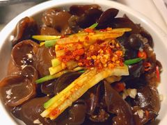 爽口木耳-佬肥猫(国华广场店)