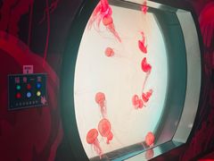 -沈阳海洋探索中心