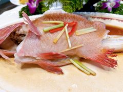 -万宝海鲜舫(劳动公园店)