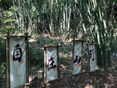 -英西峰林·洞天仙境
