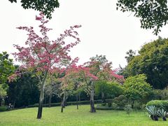 -晓港公园
