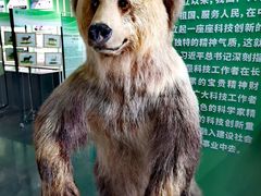 -昆明动物博物馆