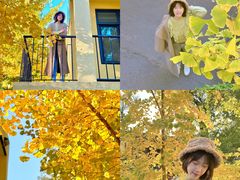 -三里屯东五街银杏大道