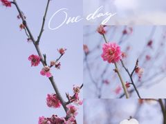 -蜀冈西峰生态公园